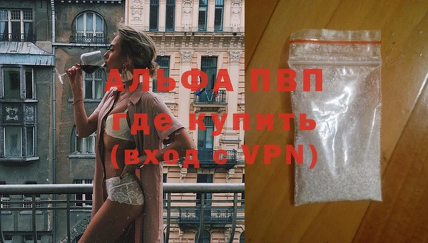 мяу мяу мука Белокуриха