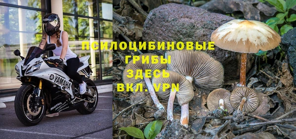 спиды Белоозёрский