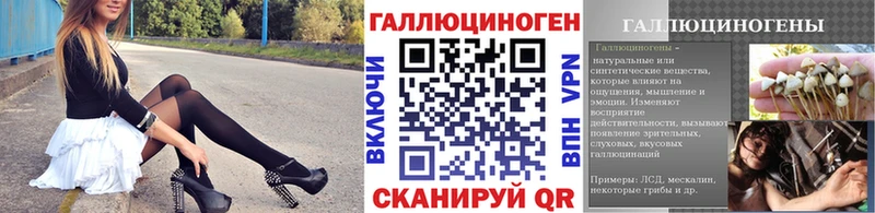 Галлюциногенные грибы прущие грибы  Ахтырский 